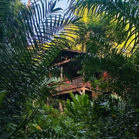 Pousada Anjali Velha Boipeba Esterno foto