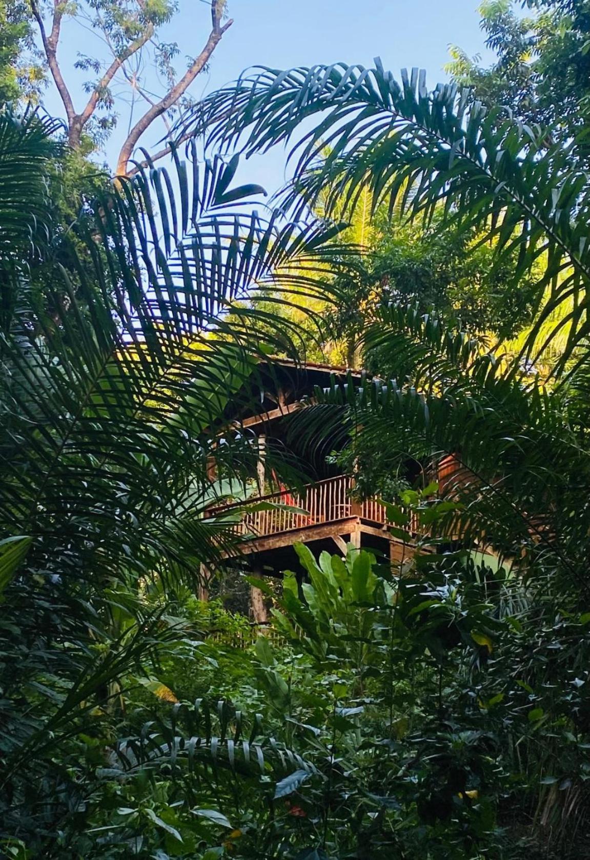 Pousada Anjali Velha Boipeba Esterno foto